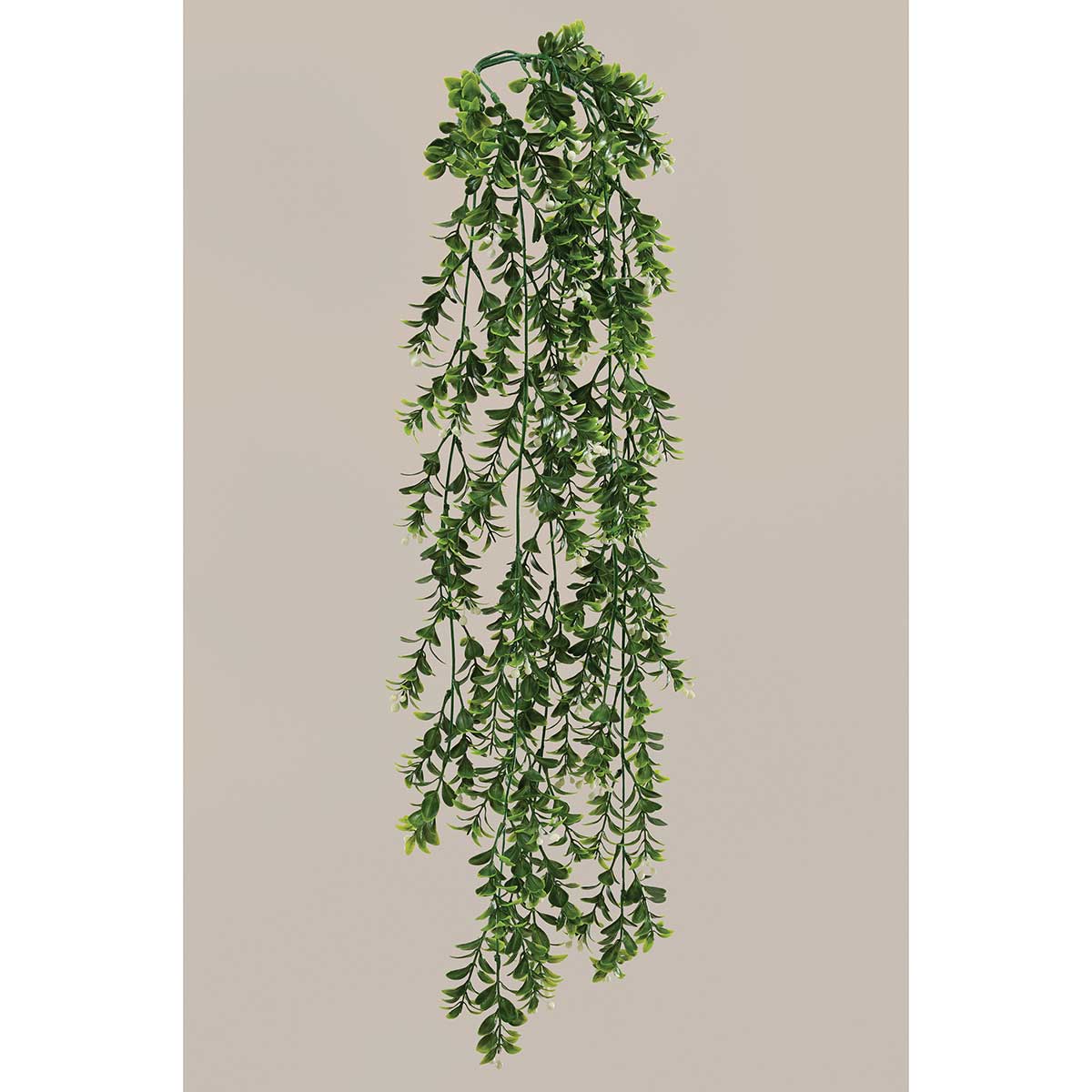 HANGING BUSH PRIVET 7IN X 33IN GREEN