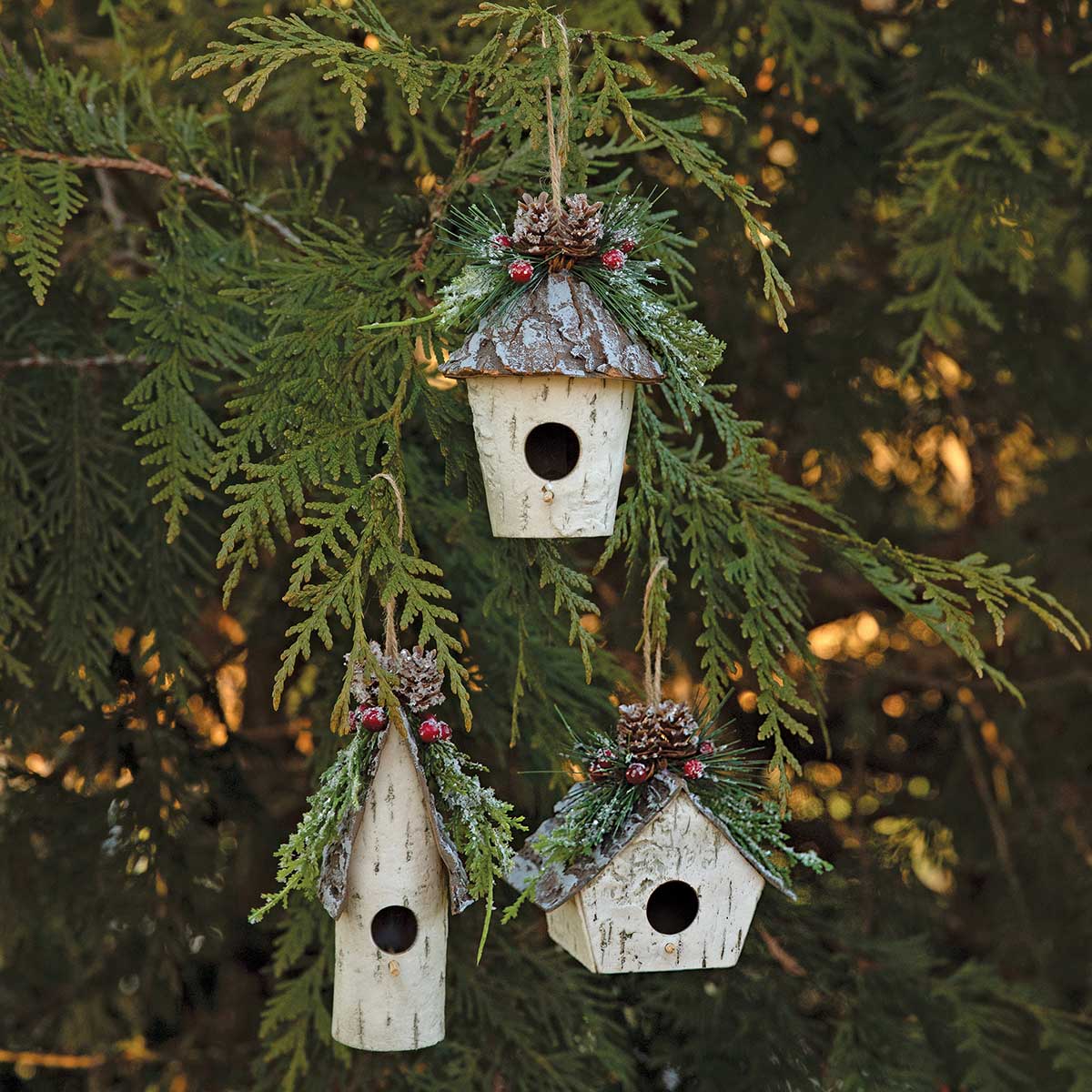 ORN BIRCH BIRD HOUSE ROUND 3IN X 5IN WHITE