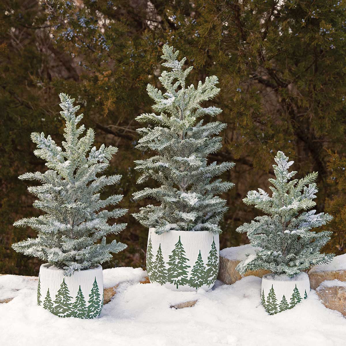 TREE TIDINGS SNOW PINE SMALL 8IN X 15IN IN BLACK POT PLASTIC